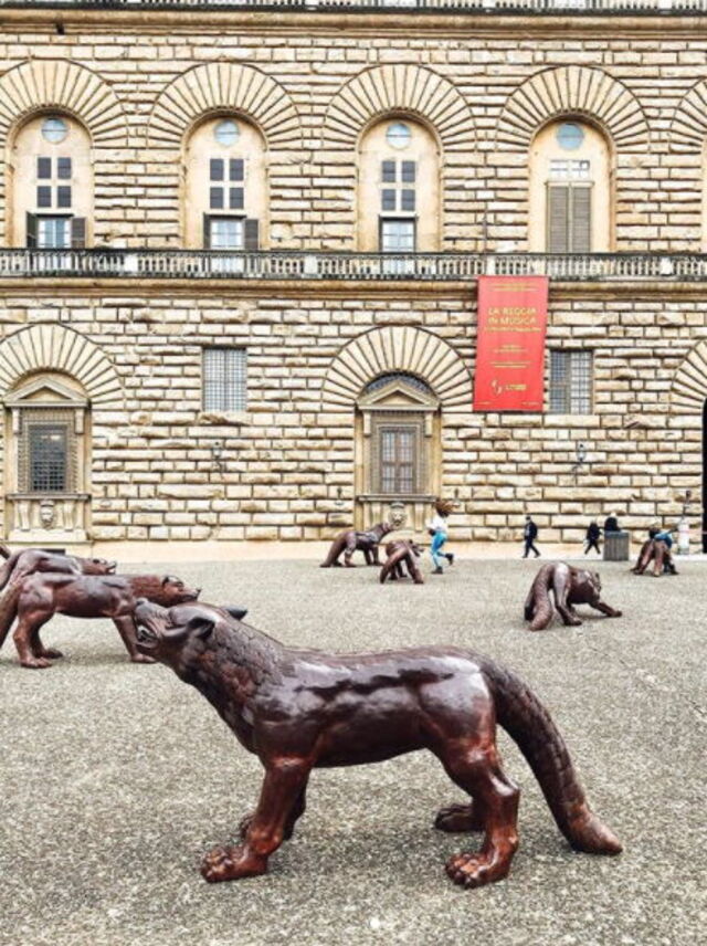 100 Wölfe vor dem Palazzo Pitti