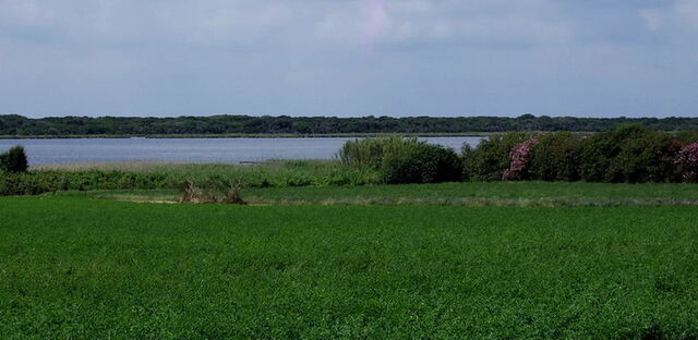 Der See Burano