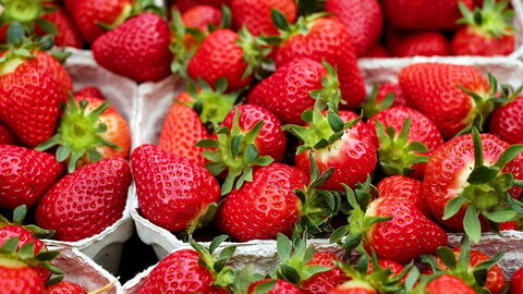 Erdbeeren