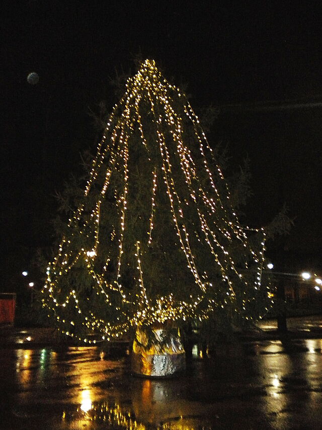 Beleuchteter Weihnachtsbaum in der Toskana