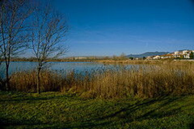 Braccini See bei Pontedera