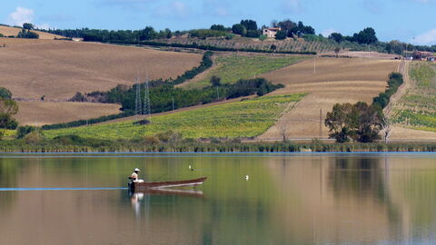 See Chiusi