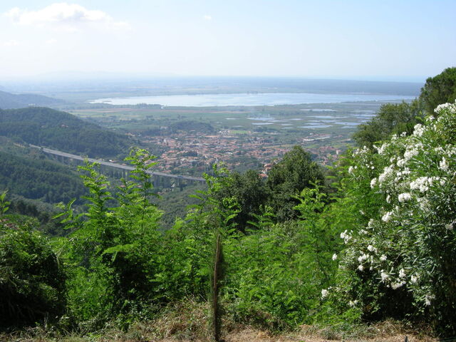 Massaciuccoli See