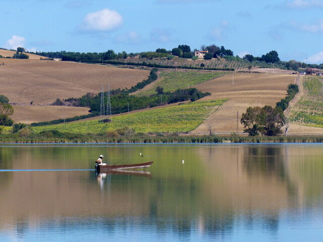 See Chiusi