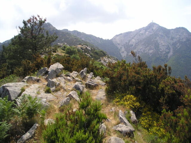 Blick auf Monte Capanne