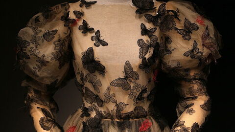 Schiaparelli Kleid, Kostümgalerie