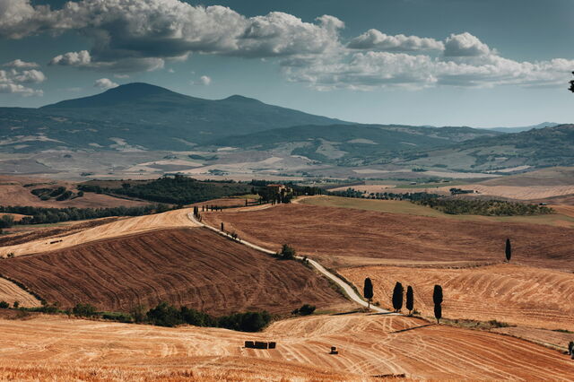 Val d'Orcia, Felder