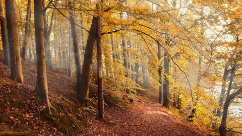 Herbstfarben