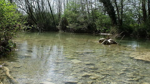 Fluss Merse