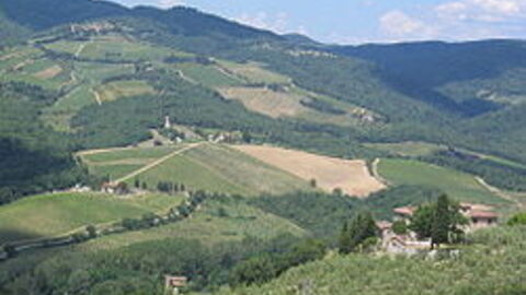 Aussicht auf das Tal nahe bei Radda