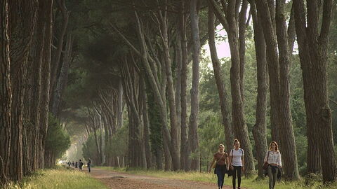 Migliarino San Rossore Massaciuccoli Naturpark
