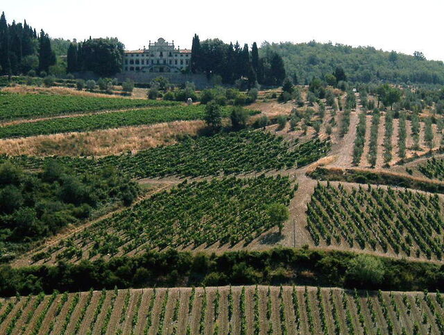 Gaiole in Chianti