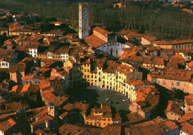 Blick auf die Innenstadt von Lucca