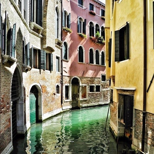 Vibrant Venezia