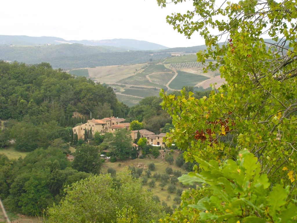 Overlooking Tuscan fields