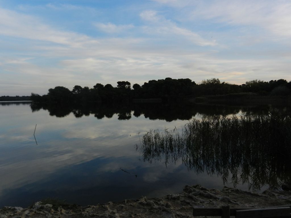 lago alimini