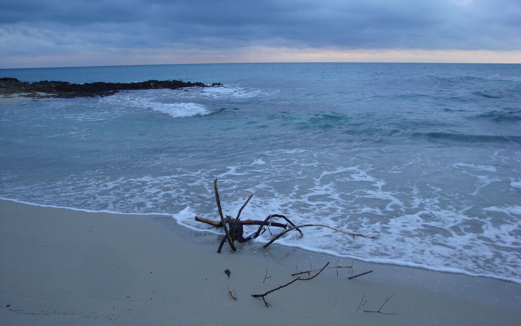 Il mare d'inverno