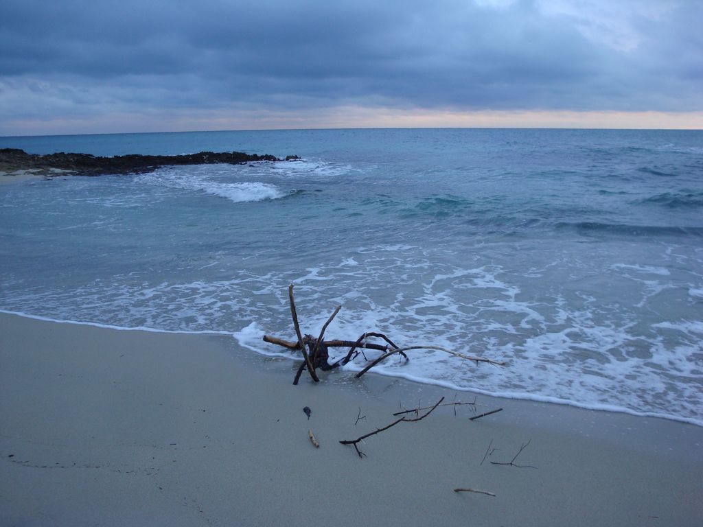 Il mare d'inverno