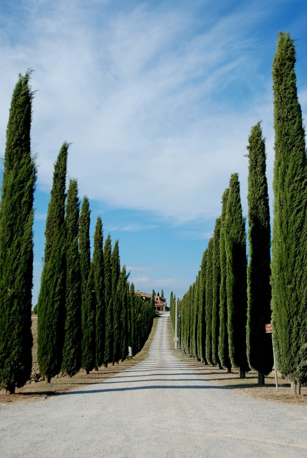 Benvenuti