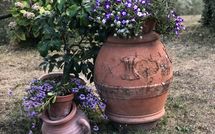 Bild vorgelegt von den Gästen von Villa Flora 