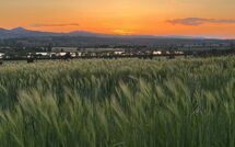 Bild vorgelegt von den Gästen von Poggio Falcone 