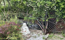 Bild vorgelegt von den Gästen von Villa Ancora 
