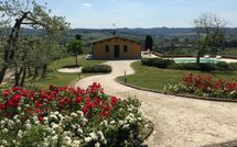 Bild vorgelegt von den Gästen von Villa Roberto 