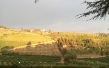 Bild vorgelegt von den Gästen von Casa Rossa 