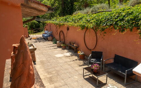 Podere Il Doccio: Blumentopf, Schatten, Garten, Zimmerpflanze, Flagstone, Hinterhof, Gartenmöbel, Holzbeize, Landscaping, Garten