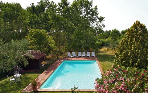 Villa Acacia: Schwimmbad, Eigentum, Natürliche Landschaft, Haus, Baum, Grundeigentum, Estate, Garten, Gebäude, Hinterhof