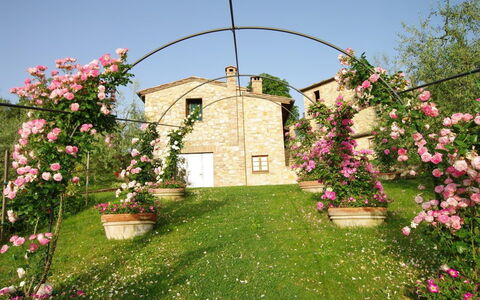 Villa Ardene: Bogen, Die Architektur, Blume, Pflanze, Garten, Frühling, Garten, Haus, Gras, Rasen