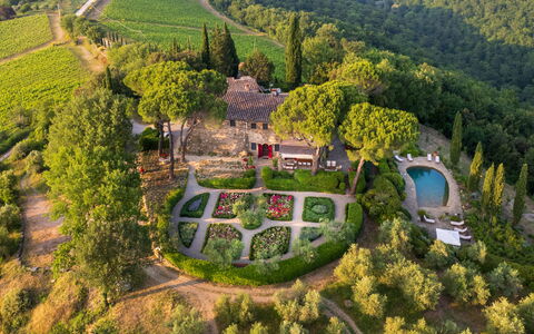 Villa Le Corti: Strauch, Garten, Pflanzengemeinschaft, Ground, Landscaping, Estate, Botanischer Garten, Hazienda, Hinterhof