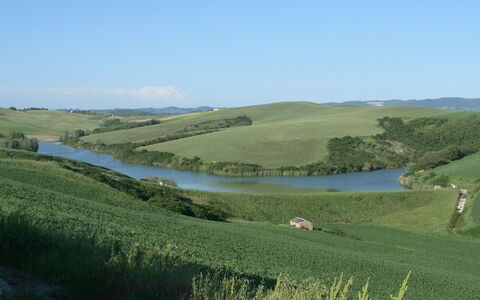 Agriturismo Il Gattero: Wiese, Natürliche Landschaft, Natürlichen Umgebung, Einfach, Wasservorräte, Hügel, Ländliches Gebiet, Weide, Wasser, Grundstueck