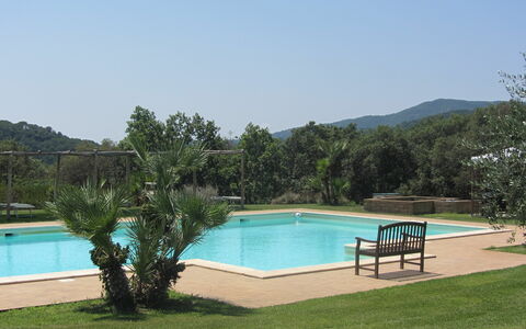 Villa Di Seripa: Schwimmbad, Eigentum, Gras, Resort, Freizeit, Grundeigentum, Haus, Urlaub, Estate, Baum