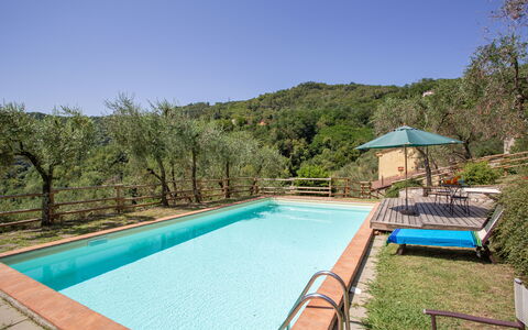 Villa Mastiano: Schwimmbad, Eigentum, Grundeigentum, Haus, Freizeit, Estate, Gebäude, Urlaub, Zuhause, Hinterhof
