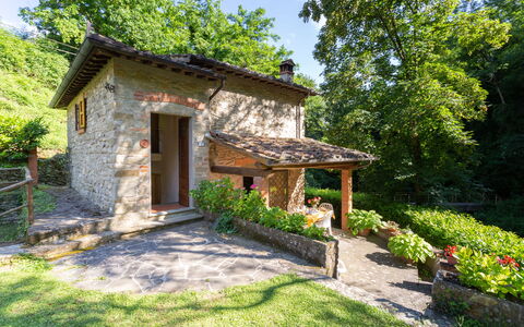 La Ripresa: Eigentum, Haus, Hütte, Gebäude, Grundeigentum, Zuhause, Botanik, Garten, Estate, Ländliches Gebiet