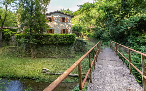 La Ripresa: Vegetation, Naturschutzgebiet, Wasserweg, Baum, Fluss, Gras, Haus, Ländliches Gebiet, Wasserlauf, Brücke