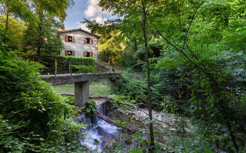 La Ripresa: Natur, Wasser, Vegetation, Grün, Wasserlauf, Baum, Naturschutzgebiet, Natürlichen Umgebung, Biome, Fluss