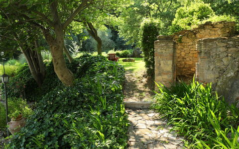 Oasis: Vegetation, Natürliche Landschaft, Natur, Grün, Baum, Gras, Naturschutzgebiet, Blatt, Natürlichen Umgebung, Pflanze