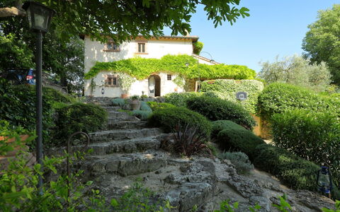 Oasis: Vegetation, Eigentum, Garten, Natürliche Landschaft, Haus, Hütte, Botanik, Strauch, Gebäude, Baum