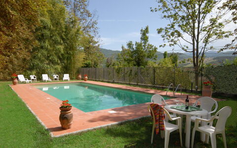 Villa Del Conte: Schwimmbad, Eigentum, Hinterhof, Gras, Freizeit, Grundeigentum, Estate, Haus, Garten, Baum