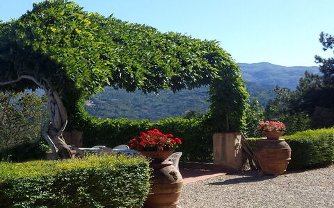 Villa Del Conte: Garten, Vegetation, Baum, Strauch, Botanischer Garten, Natürliche Landschaft, Hecke, Botanik, Pflanze, Himmel