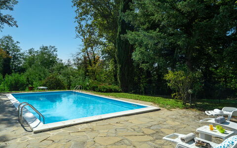 Villa Cinzia: Wasser, Pflanze, Schwimmbad, Baum, Schatten, Rechteck, Natürliche Landschaft, Gras, Freizeit, Verbundwerkstoff