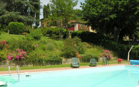 Villa i Cedri: Schwimmbad, Eigentum, Freizeit, Grundeigentum, Wohngebiet, Haus, Gras, Baum, Landschaft, Urlaub