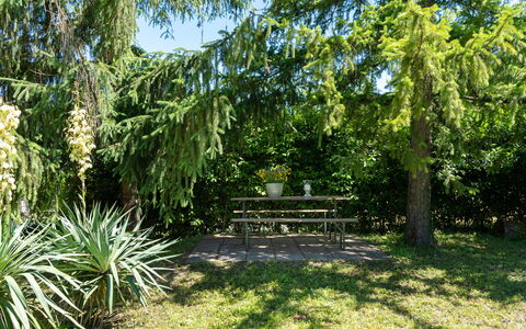 Villa Il Nido: Pflanze, Pflanzengemeinschaft, Außenbank, Natürliche Landschaft, Baum, Grundstueck, Schatten, Terrestrische Plant, Arecales, Strauch