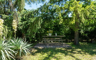 Villa Il Nido