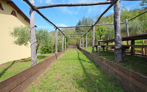 Villa Miramare: Baum, Brücke, Gras, Ländliches Gebiet, Grundeigentum, Walkway, Die Architektur, Nonbuilding Struktur, Grundstueck, Pflanze