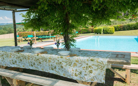 Villa Le Volte: Schwimmbad, Eigentum, Urlaub, Freizeit, Baum, Resort, Haus, Grundeigentum, Tabelle, Landschaft