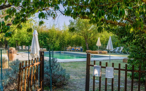 Agriturismo Il Molinello: Pflanze, Wasser, Zaun, Baum, Natürliche Landschaft, Schatten, Gehölz, Holz, Gras, Home Fechten