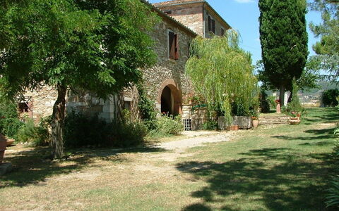 Agriturismo Il Molinello: Eigentum, Haus, Gebäude, Baum, Gras, Estate, Grundeigentum, Die Architektur, Hazienda, Ländliches Gebiet